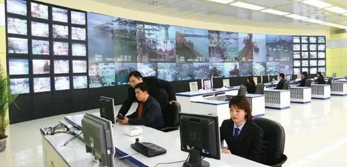 專業(yè)群巡禮 青島港灣職業(yè)學(xué)院信息技術(shù)專業(yè)群，信息技術(shù)咨詢服務(wù)探析